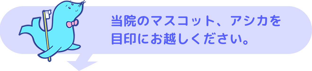 アシカを目印にお越しください